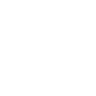 Franchise Opportunity System